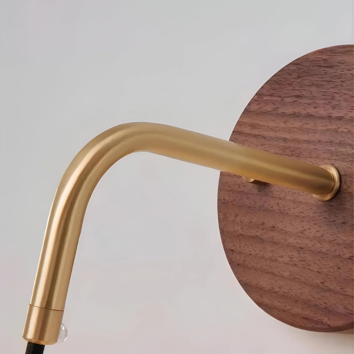 Walnut & Brass LED Wall Light